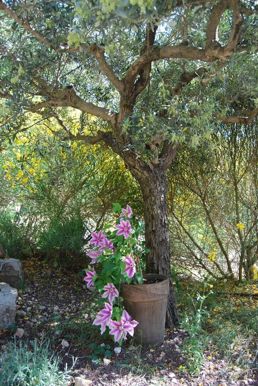 Mas De Carabelle Bed & Breakfast La Roque-Alric Bagian luar foto