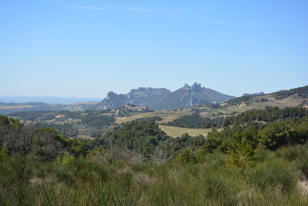 Mas De Carabelle Bed & Breakfast La Roque-Alric Bagian luar foto