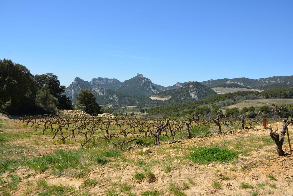 Mas De Carabelle Bed & Breakfast La Roque-Alric Bagian luar foto